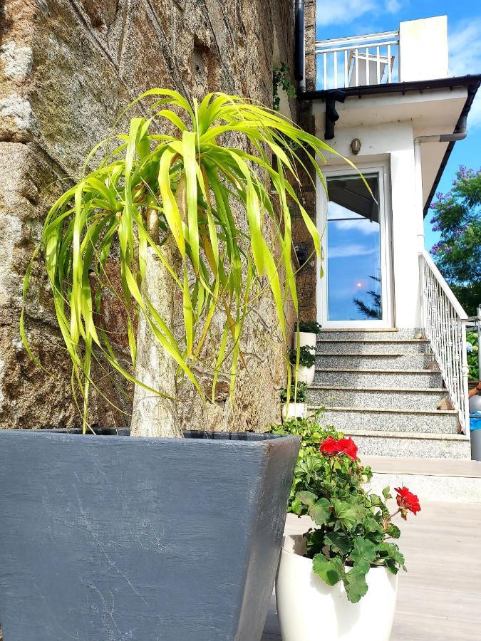 Villa Pepe, Casa Compartida Pontevedra Dış mekan fotoğraf